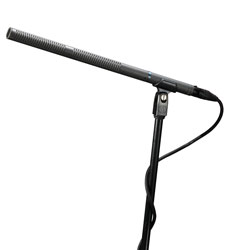 AUDIO-TECHNICA AT8035 MICROPHONE Shotgun, condenser, phantom/battery, LF filter